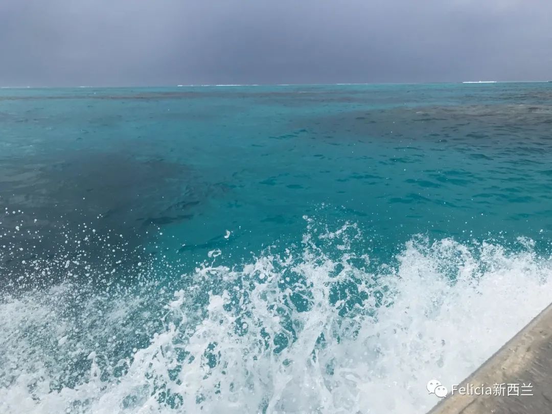 Cook Island 库克群岛之旅