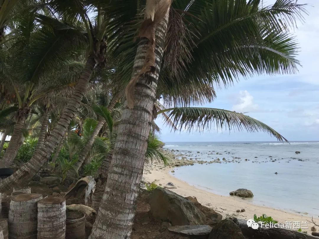 Cook Island 库克群岛之旅