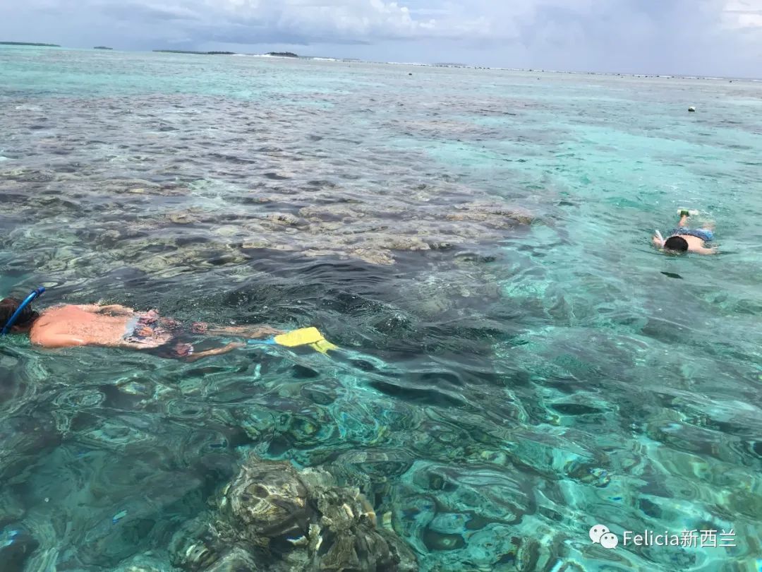 Cook Island 库克群岛之旅