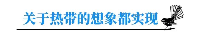 飞过国际日界线，去热带的岛屿过冬｜库克群岛玩耍攻略