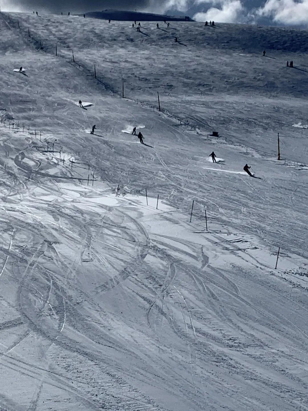 「FALLS CREEK」雪山泡泡（下）