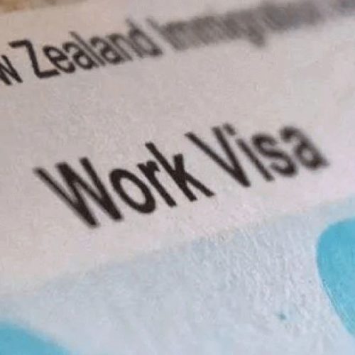 新西兰打工度假签证下签时长情况分析