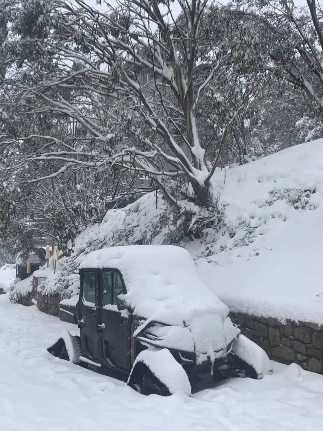 「FALLS CREEK」雪山泡泡（下）