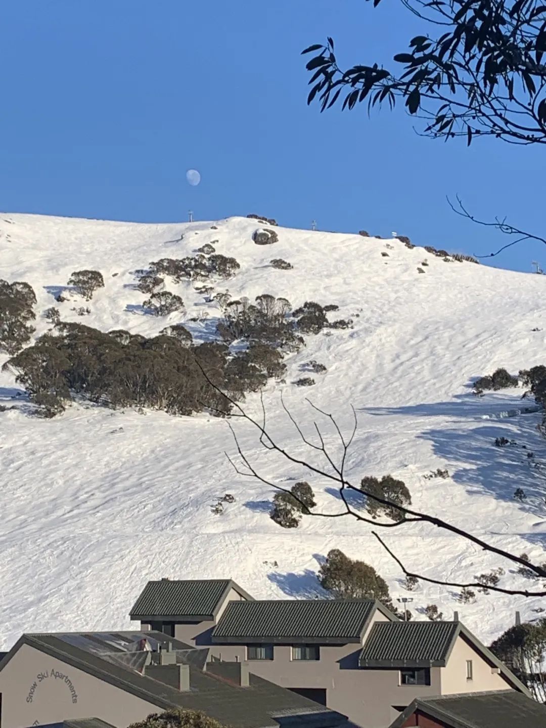 「FALLS CREEK」雪山泡泡（下）