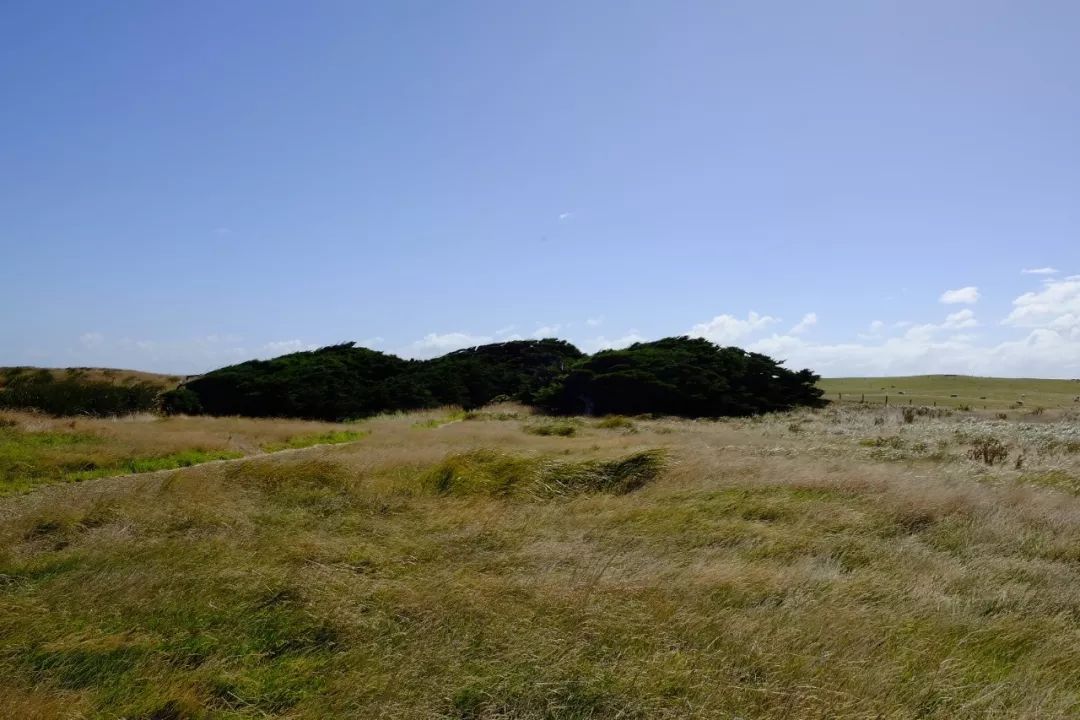 旅行笔记 | 沿着新西兰南部风景线走一走