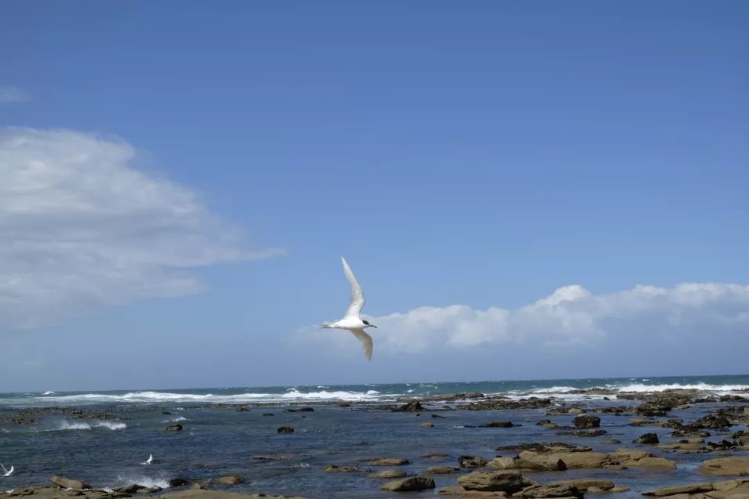 旅行笔记 | 沿着新西兰南部风景线走一走