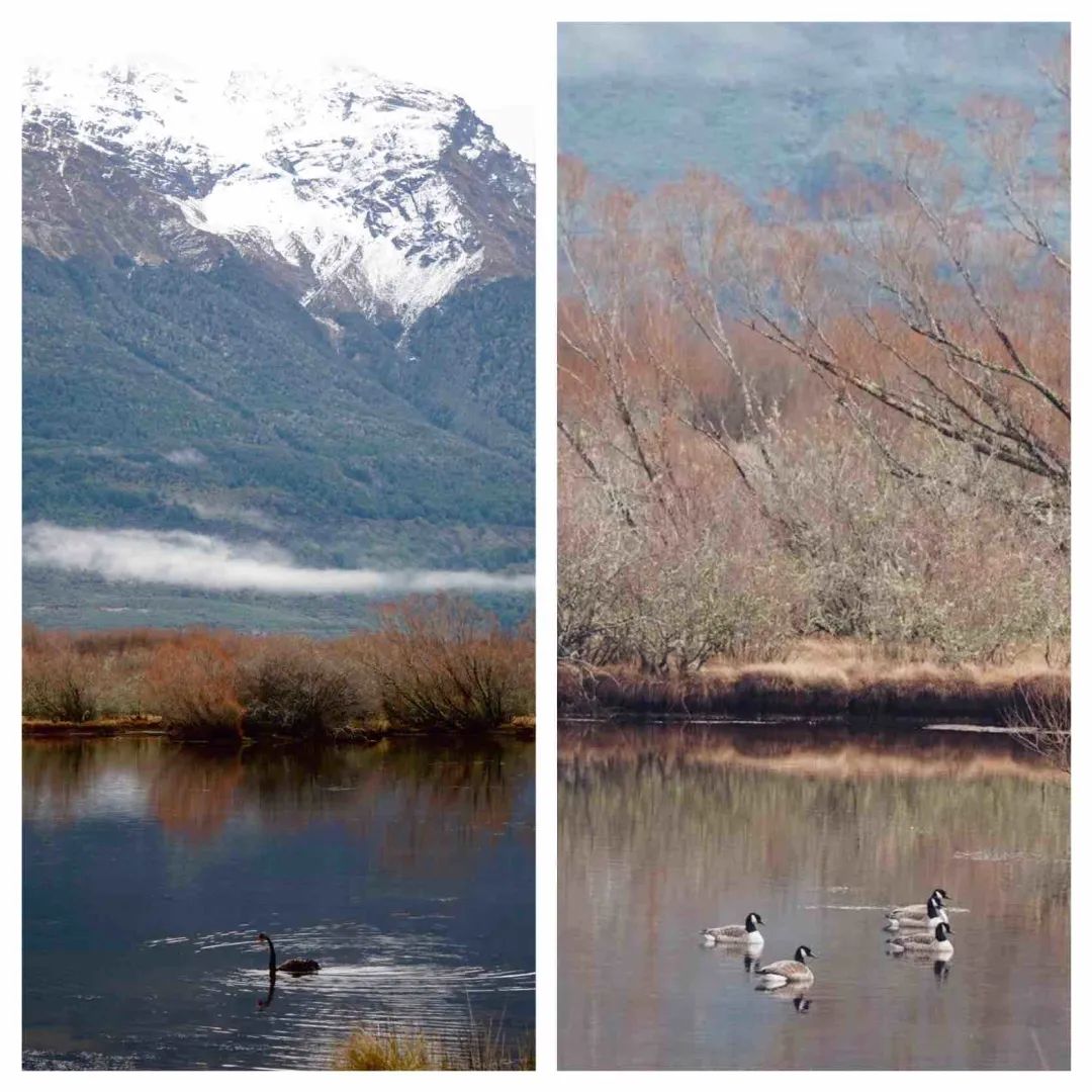 中土大陆Glenorchy，像极了精灵生活的地方