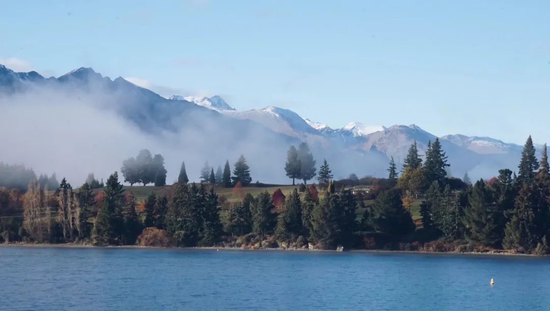 Queenstown Gardens|你想看的雪山湖景，这里都有