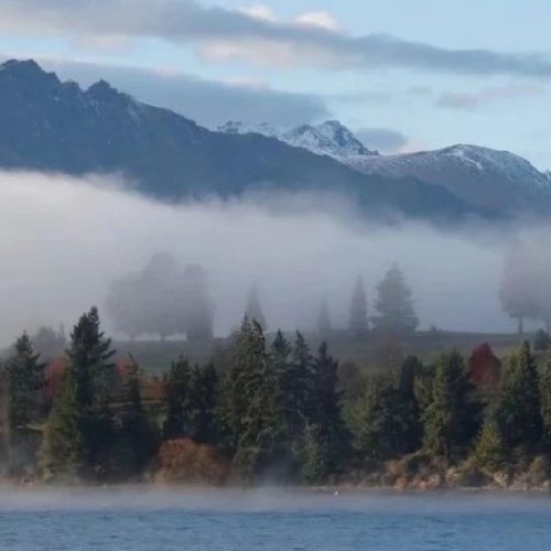 Queenstown Gardens|你想看的雪山湖景，这里都有