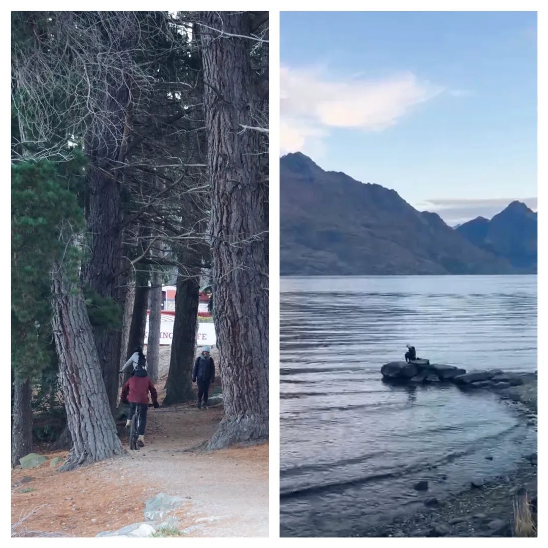 Queenstown Gardens|你想看的雪山湖景，这里都有