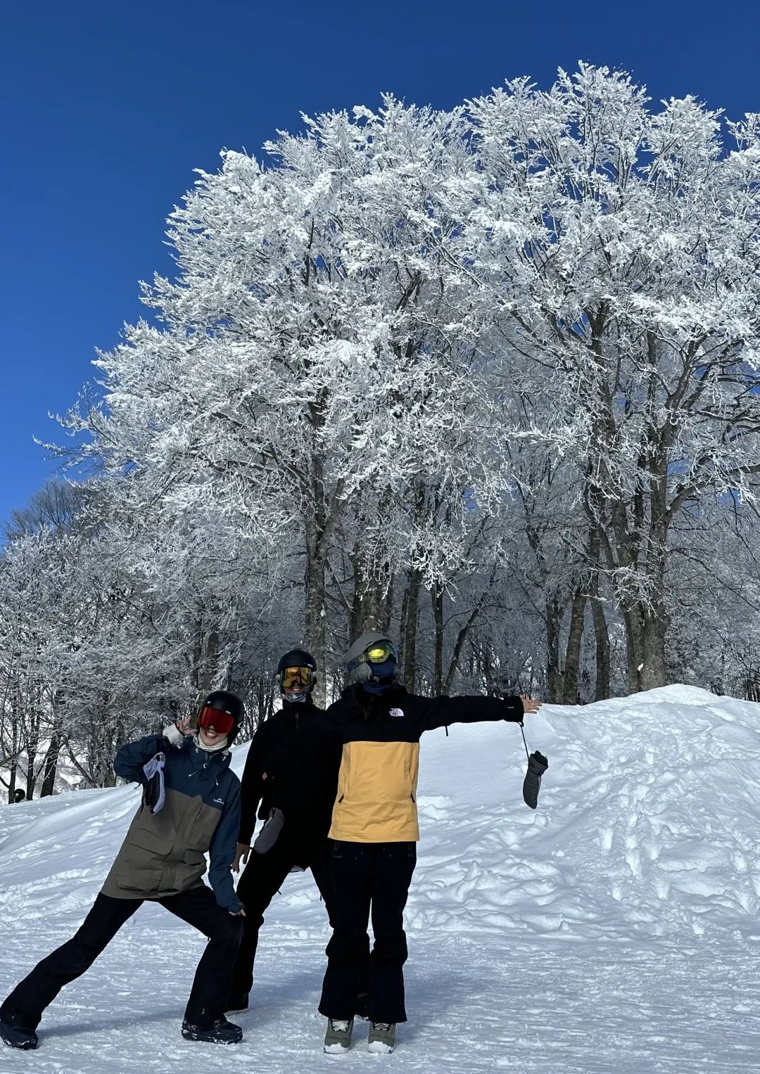 用澳洲买的“Epic Pass”去日本（“免费”滑雪篇）