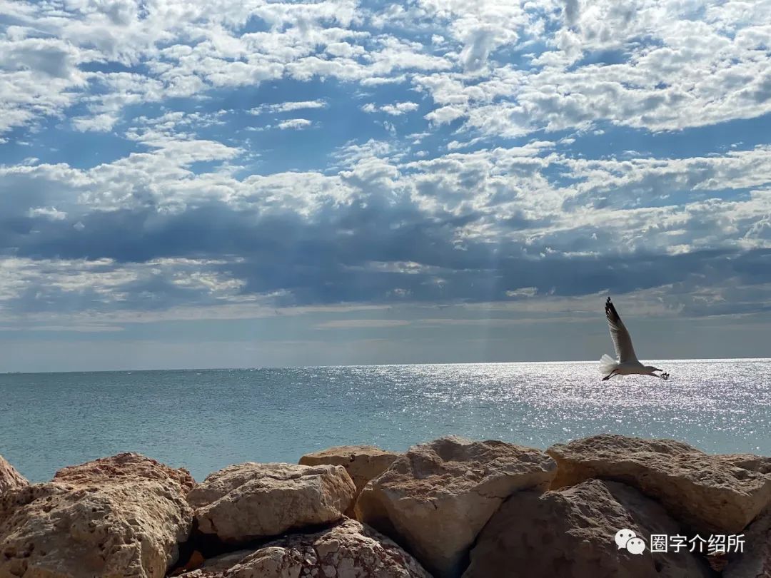 今天睡车里｜云在游泳鱼在唱歌