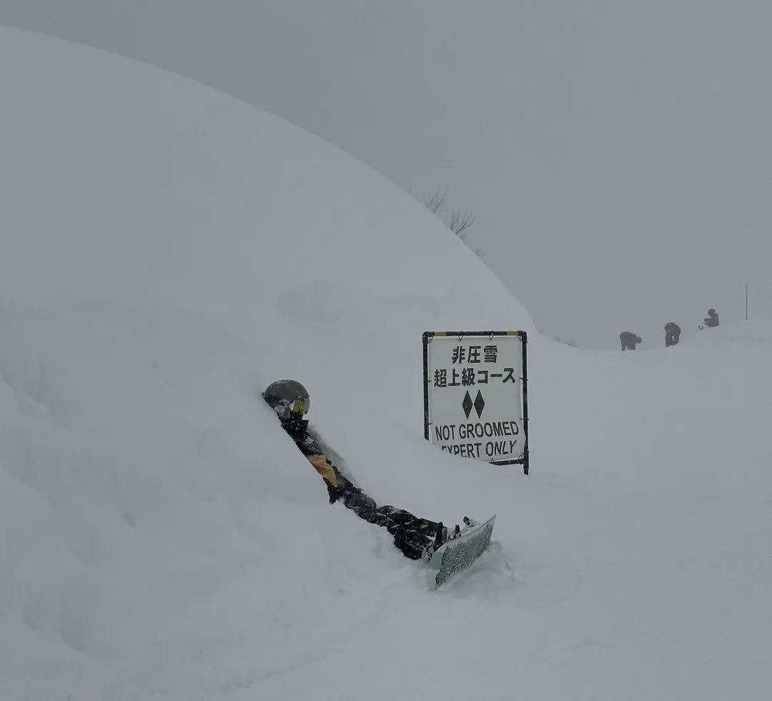 用澳洲买的“Epic Pass”去日本（“免费”滑雪篇）