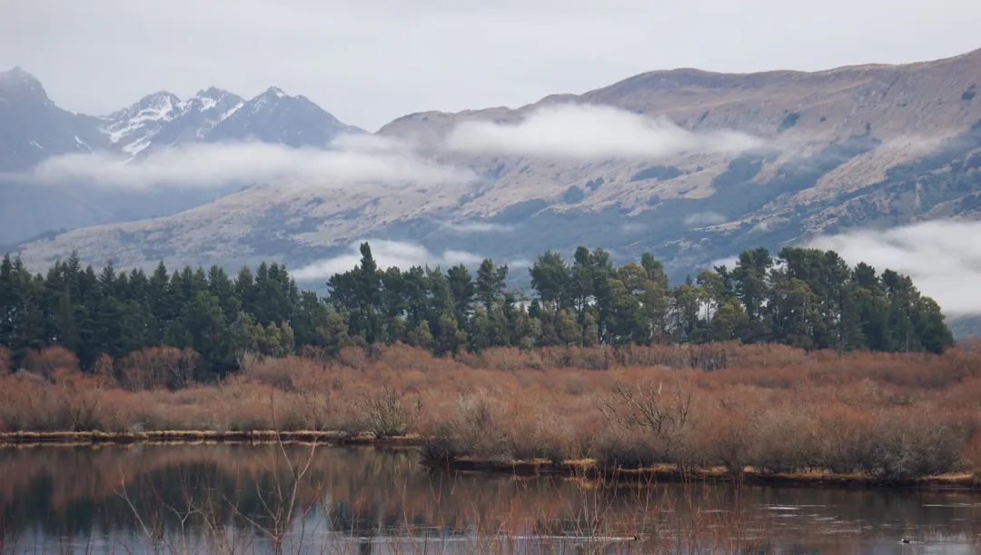 中土大陆Glenorchy，像极了精灵生活的地方