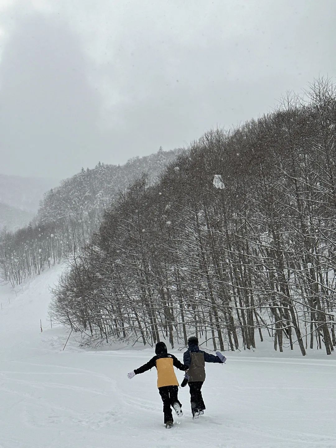 用澳洲买的“Epic Pass”去日本（“免费”滑雪篇）