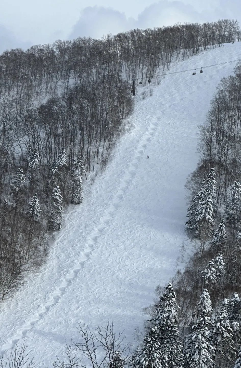 用澳洲买的“Epic Pass”去日本（“免费”滑雪篇）