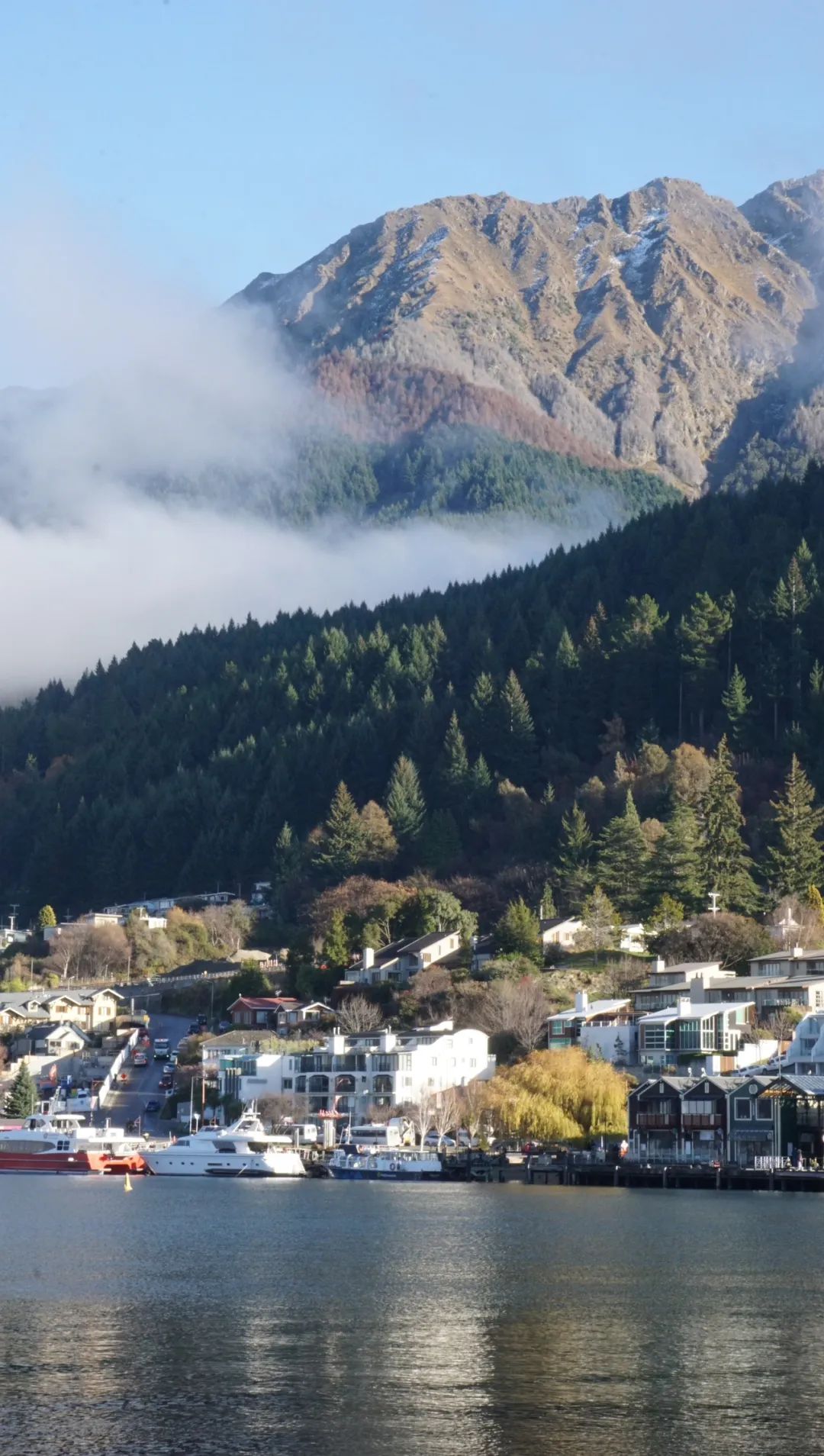 Queenstown Gardens|你想看的雪山湖景，这里都有