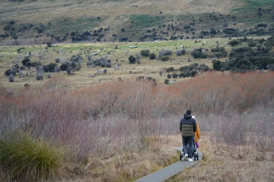 中土大陆Glenorchy，像极了精灵生活的地方