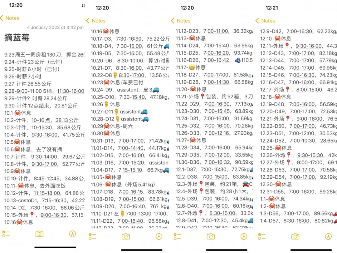 春夏秋冬又一春，澳洲打工度假一周年纪