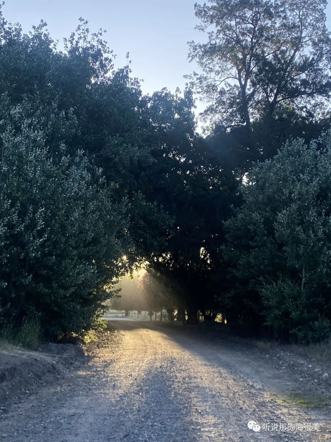 Adelaide Hills｜ 阿德山区生活的一些记忆碎片