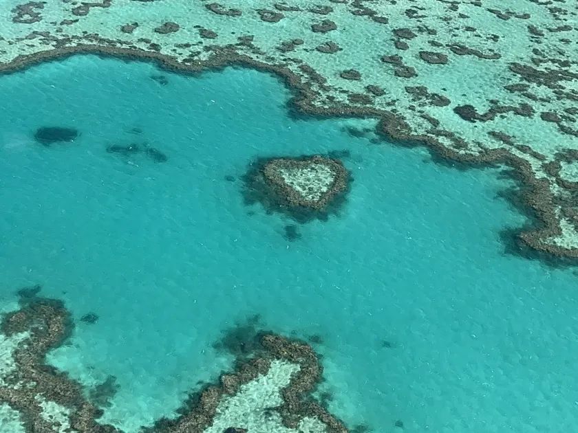 Hayman Island | 死亡回忆的精彩一帧