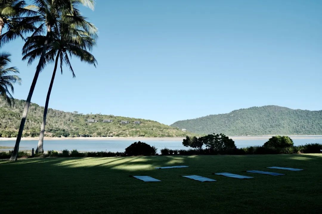 Hayman Island | 死亡回忆的精彩一帧