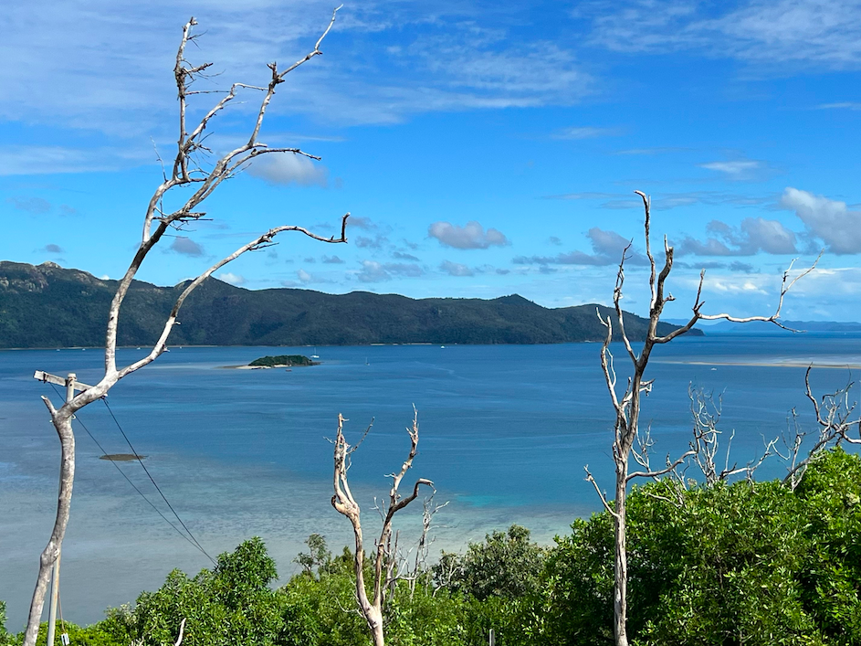 Hayman Island | 死亡回忆的精彩一帧