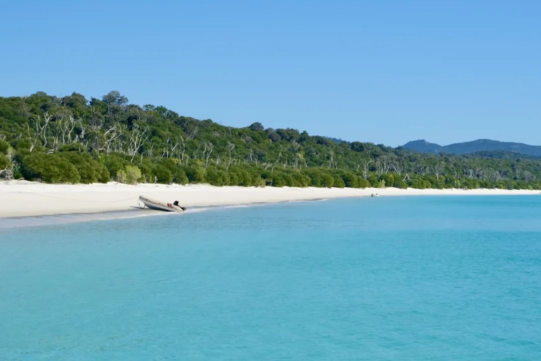 Hayman Island | 死亡回忆的精彩一帧