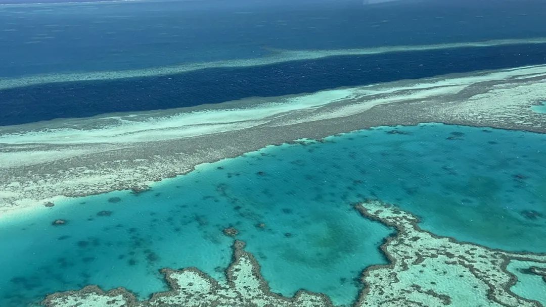 Hayman Island | 死亡回忆的精彩一帧