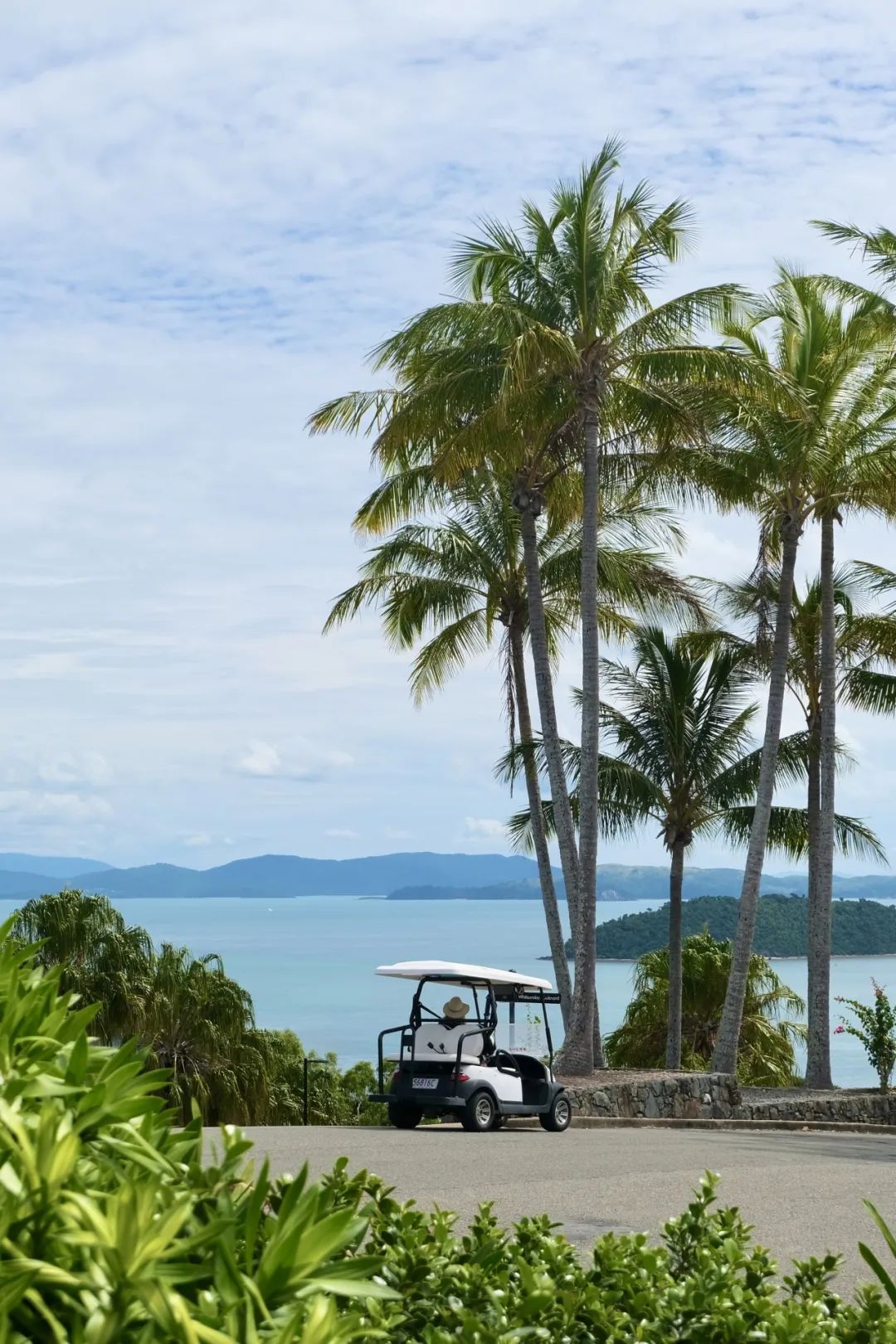 Hayman Island | 死亡回忆的精彩一帧