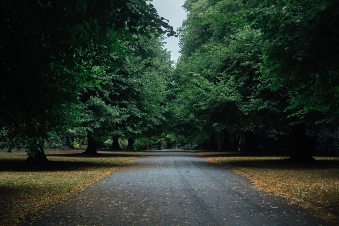 Autumn｜夏 天 的 延 续 是 秋 天 的 故 事